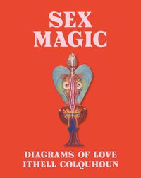 Cover image for Sex Magic