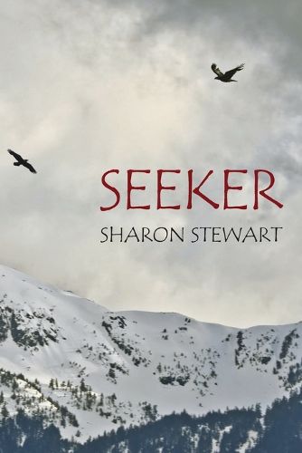 Cover image for Seeker