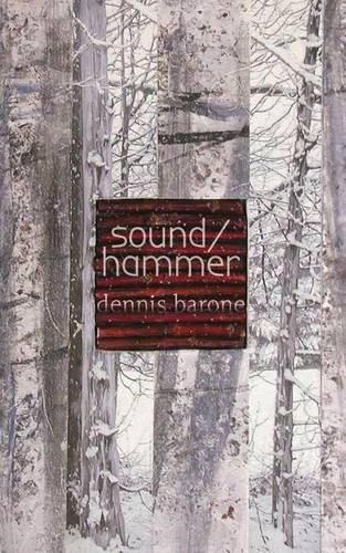 Cover image for Sound/Hammer