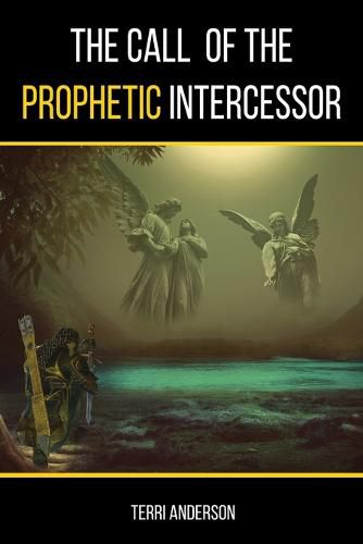 Cover image for The Call Of The Prophetic Intercessor