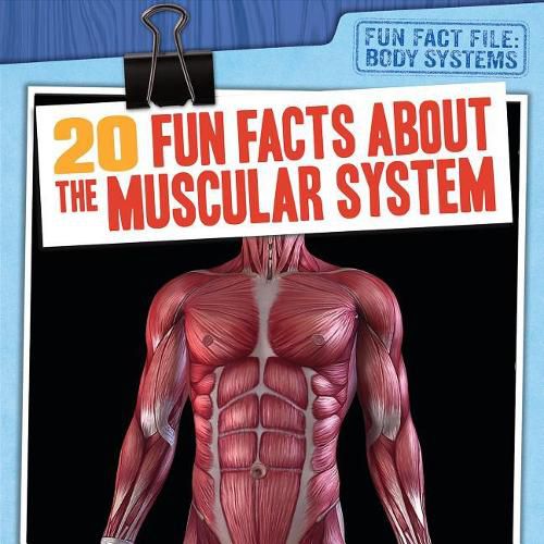 Cover image for 20 Fun Facts about the Muscular System