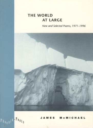 Cover image for The World at Large: New and Selected Poems 1971-1996