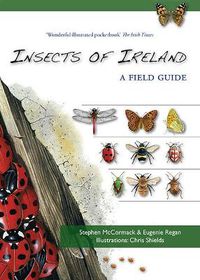 Cover image for Insects of Ireland