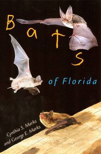 Cover image for Bats of Florida