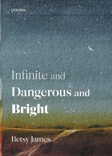 Cover image for Infinite and Dangerous and Bright