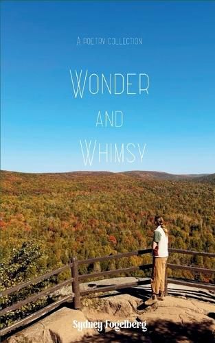 Cover image for Wonder and Whimsy