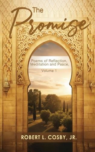 Cover image for The Promise