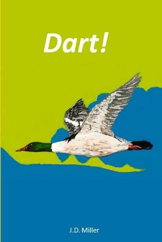 Cover image for Dart!