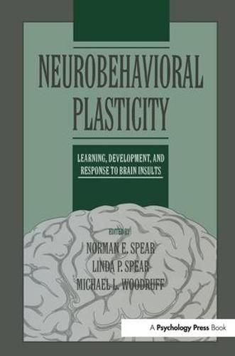 Cover image for Neurobehavioral Plasticity: Learning, Development, and Response to Brain Insults