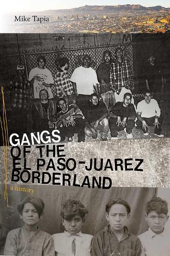 Cover image for Gangs of the El Paso-Juarez Borderland: A History