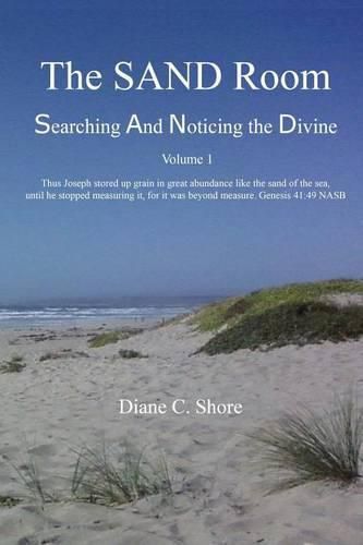 Cover image for The SAND Room Vol. 1: Searching And Noticing the Divine