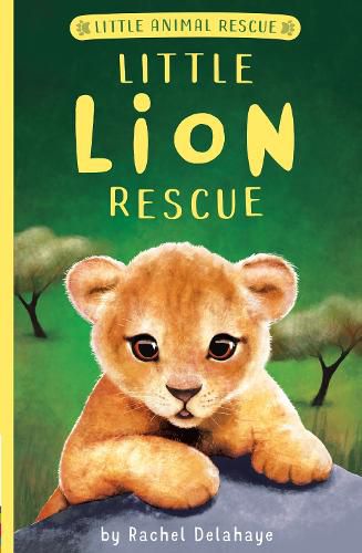 Cover image for Little Lion Rescue