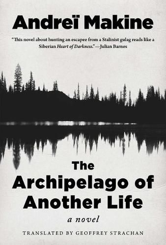 Cover image for The Archipelago of Another Life