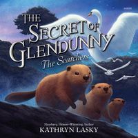 Cover image for The Secret of Glendunny #2: The Searchers
