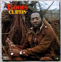 Cover image for Roots ** Orange Vinyl