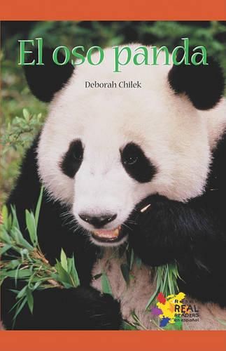 Cover image for Oso Panda
