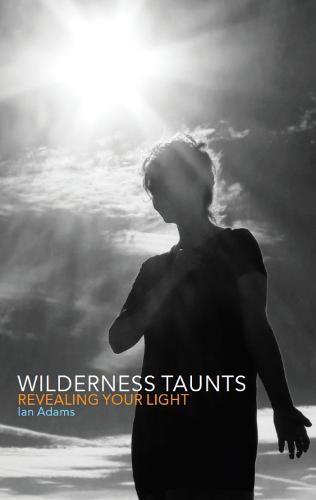 Cover image for Wilderness Taunts: Revealing your light