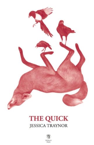 Cover image for The Quick