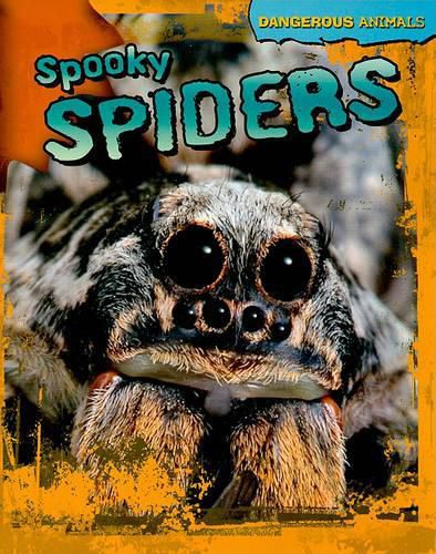 Cover image for Spooky Spiders