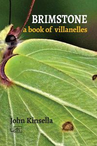 Cover image for Brimstone: A Book of Villanelles