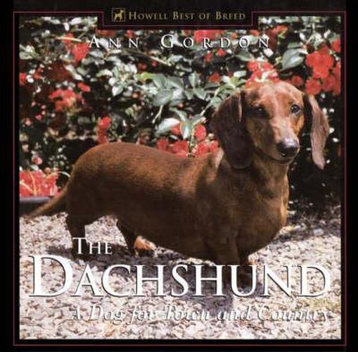 Cover image for The Dachshund, The: Delightful, Devoted and Diverse