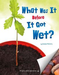 Cover image for What Was It Before It Got Wet?