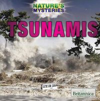 Cover image for Tsunamis