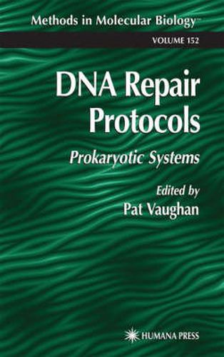 Cover image for DNA Repair Protocols: Prokaryotic Systems