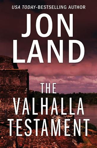 Cover image for The Valhalla Testament