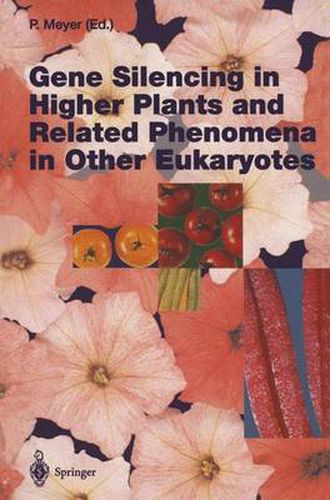 Cover image for Gene Silencing in Higher Plants and Related Phenomena in Other Eukaryotes