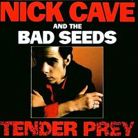 Cover image for Tender Prey