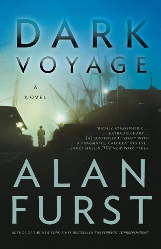 Cover image for Dark Voyage: A Novel