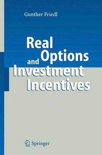 Cover image for Real Options and Investment Incentives