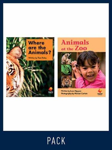 Cover image for Flying Start Guided Reading Level 1, Pack 12: Paired student books (6x6), vocabulary starter (1) and lesson plan (1)