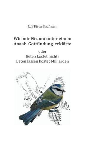 Cover image for Wie mir Nizami unter einem Anaab Gottfindung erklarte