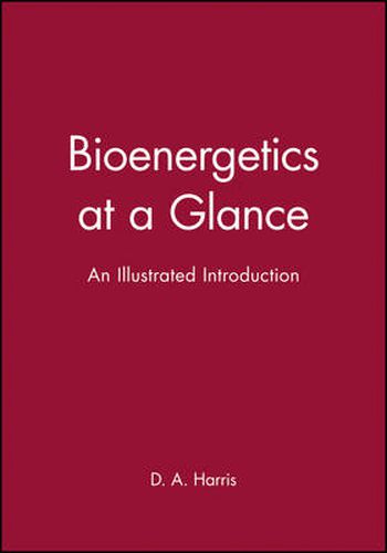 Cover image for Bioenergetics at a Glance: An Illustrated Introduction