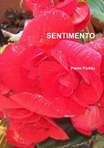 Cover image for Sentimento