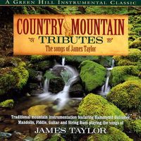 Cover image for Country Mountain Tributes: The Songs Of James Taylor