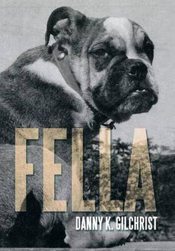 Cover image for Fella