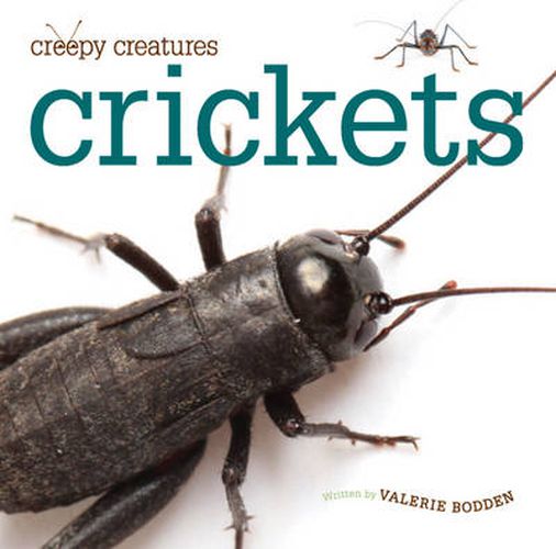 Cover image for Creepy Creatures: Crickets