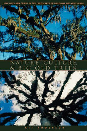 Cover image for Nature, Culture, and Big Old Trees: Live Oaks and Ceibas in the Landscapes of Louisiana and Guatemala