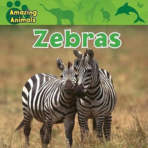 Cover image for Zebras