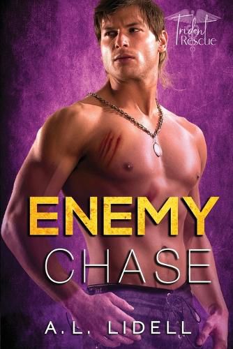 Cover image for Enemy Chase