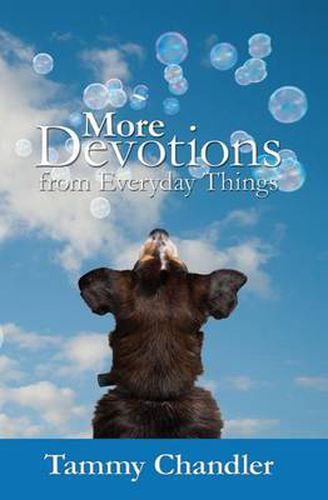 Cover image for More Devotions from Everyday Things