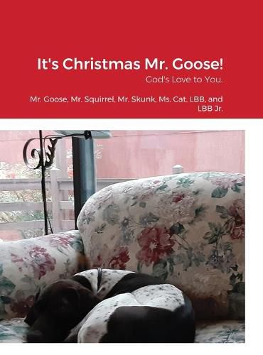 Cover image for It's Christmas Mr. Goose!