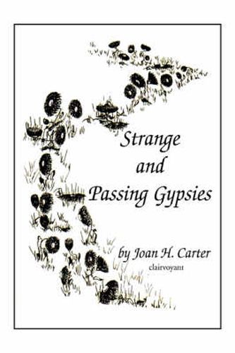 Cover image for Strange and Passing Gypsies