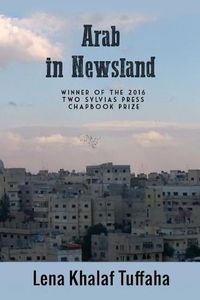 Cover image for Arab In Newsland