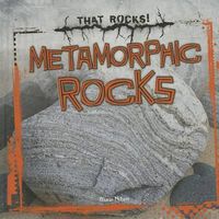 Cover image for Metamorphic Rocks