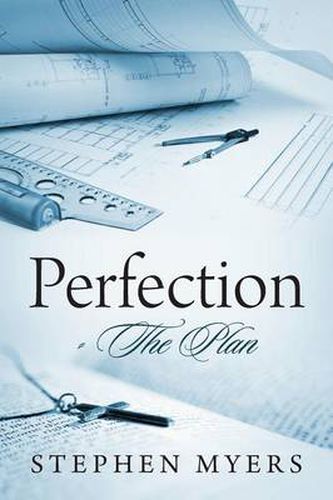 Cover image for Perfection - The Plan