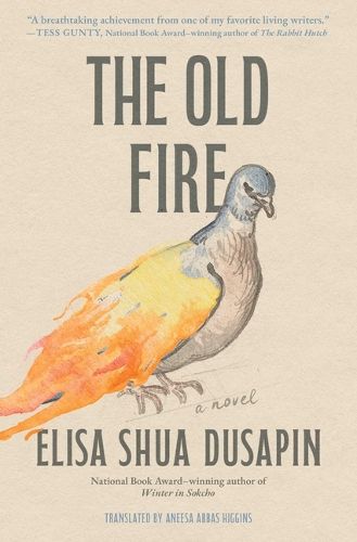Cover image for The Old Fire